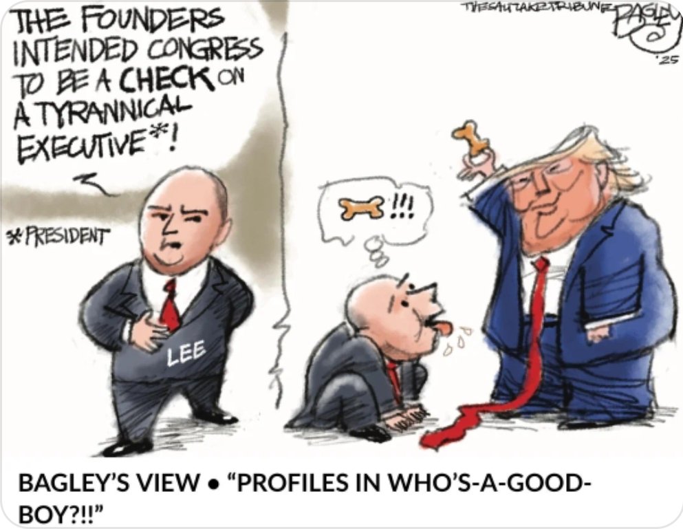 Ginger Edwards 🐛 tweet media