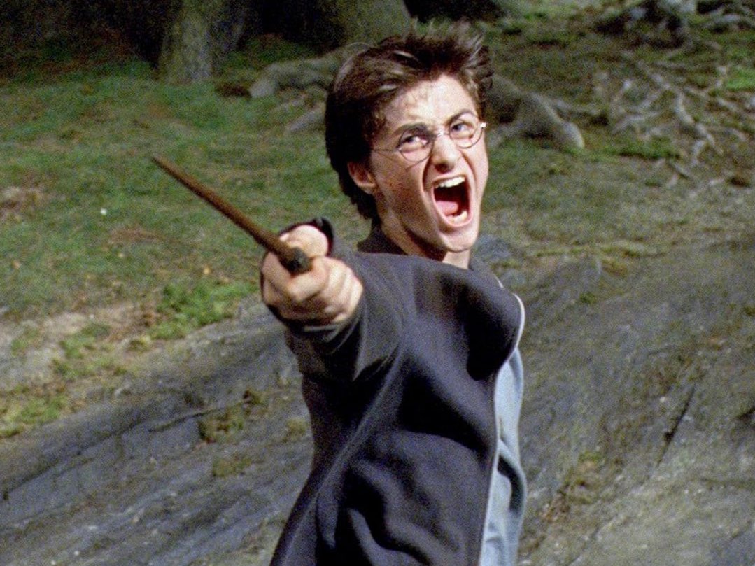 Harry Payne tweet media