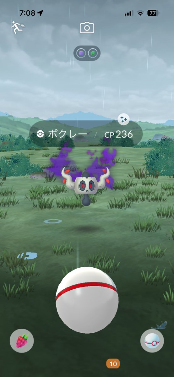 moya11111's tweet photo. 嬉しい色違いに遭遇✨
#ポケモンGO 
#ポケモンGO色違い https://t.co/Sm0Qn1hKhD