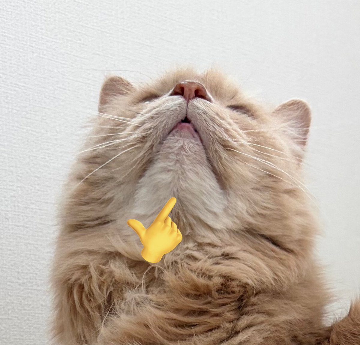 Donald(目指すはアレ/120インチホームシアター) tweet media