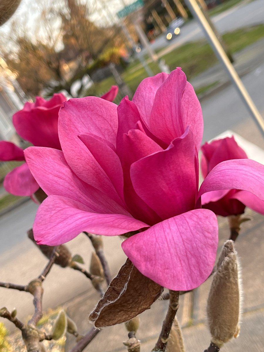 Spirituality, life, love, peace🍂🍁🪺🌻🍃📸 tweet media