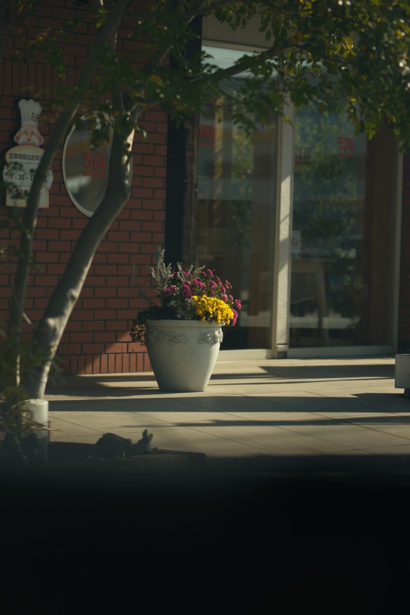 Sunny8193 tweet media