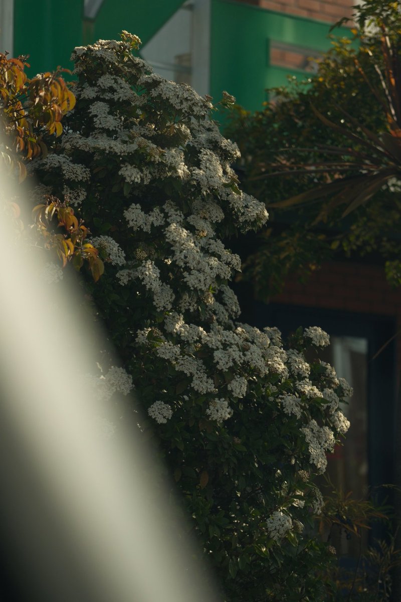 Sunny8193 tweet media