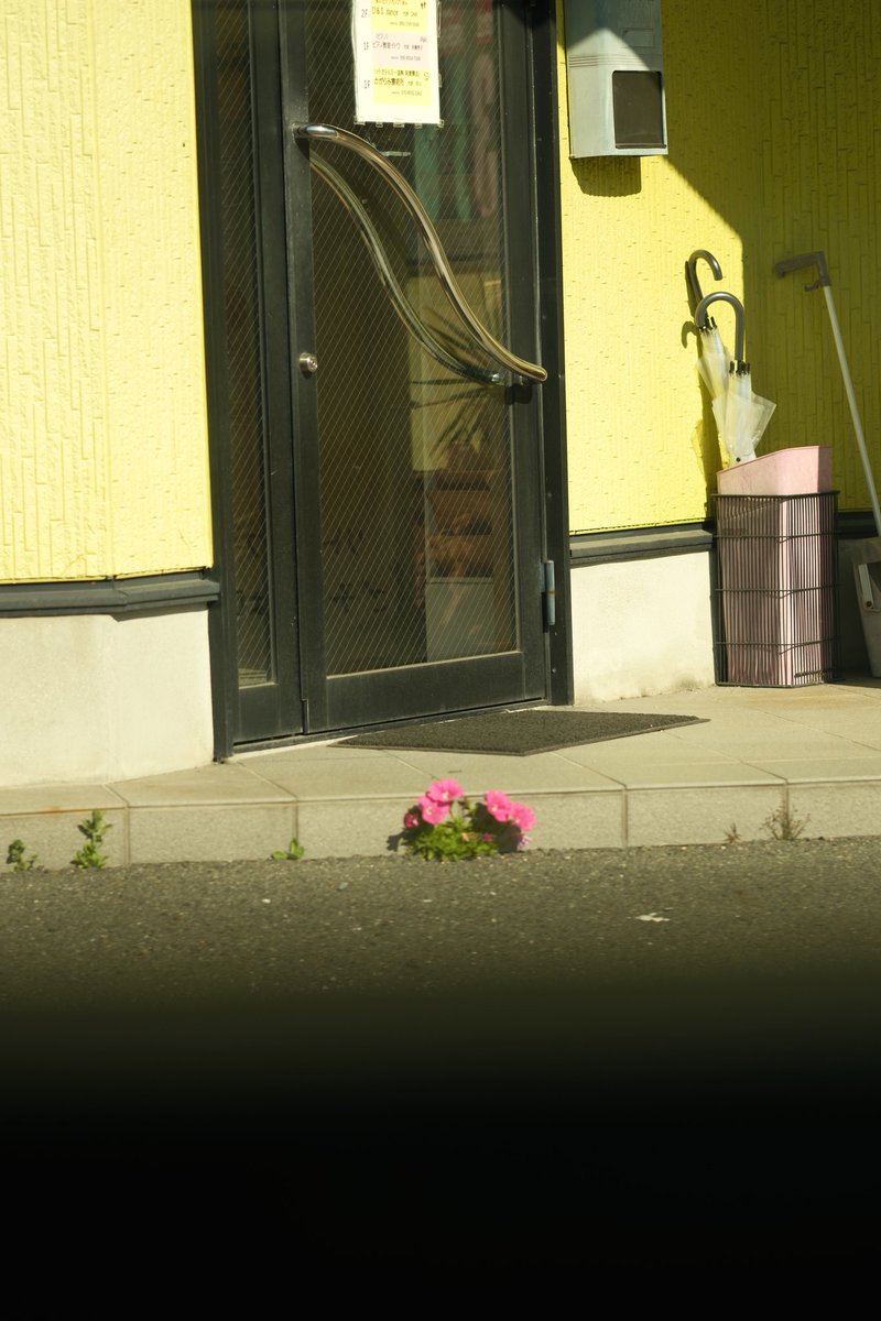 Sunny8193 tweet media