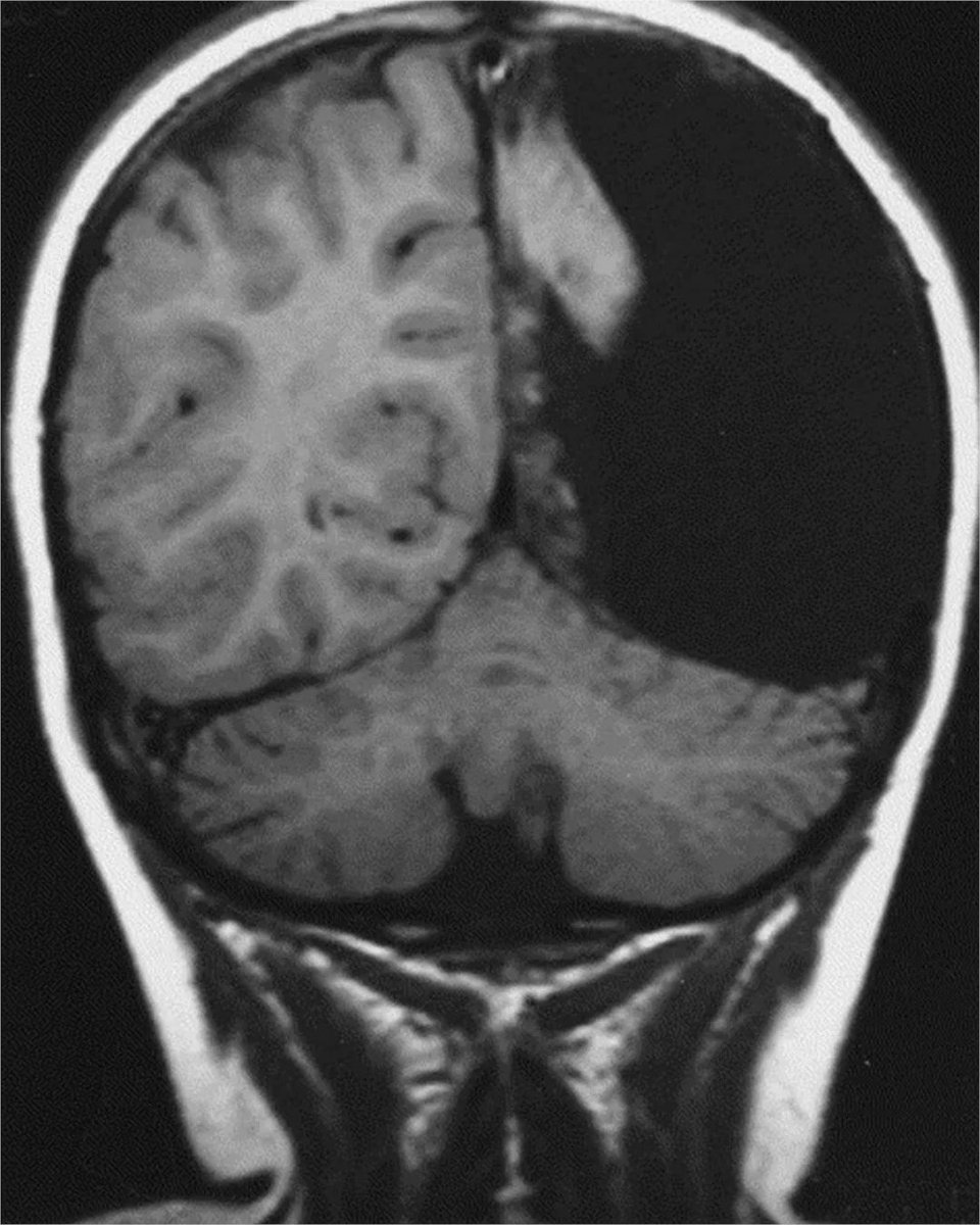 All day Astronomy tweet media