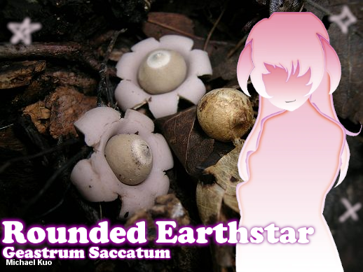 NEW AGE MOLD tweet media