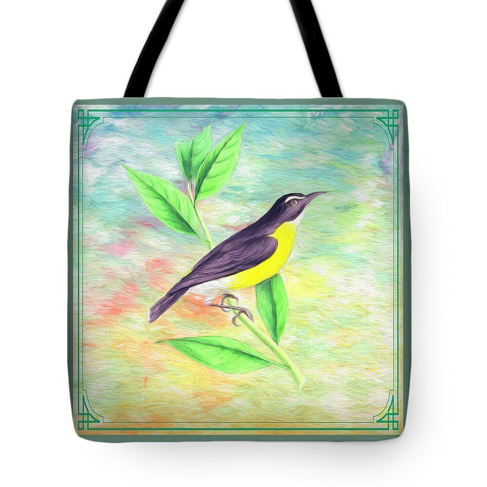 Judy Vincent Photography tweet media