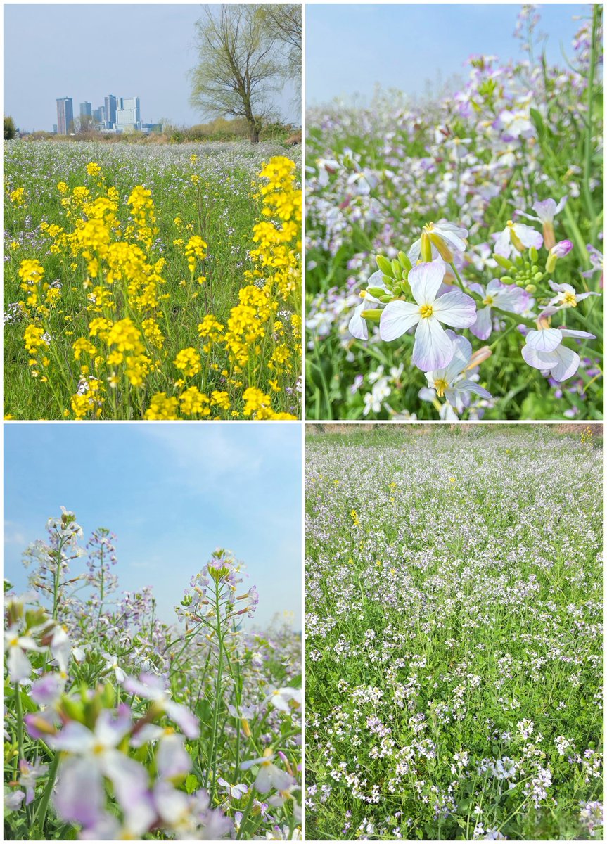 そらそこ tweet media