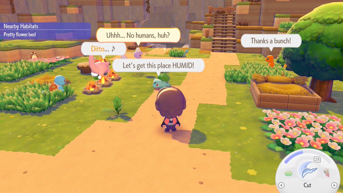 Mark 🇮🇪🇵🇸🍉 tweet media