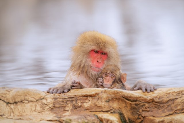 NAGANO Times🌟長野県のご当地名物に光あれ tweet media