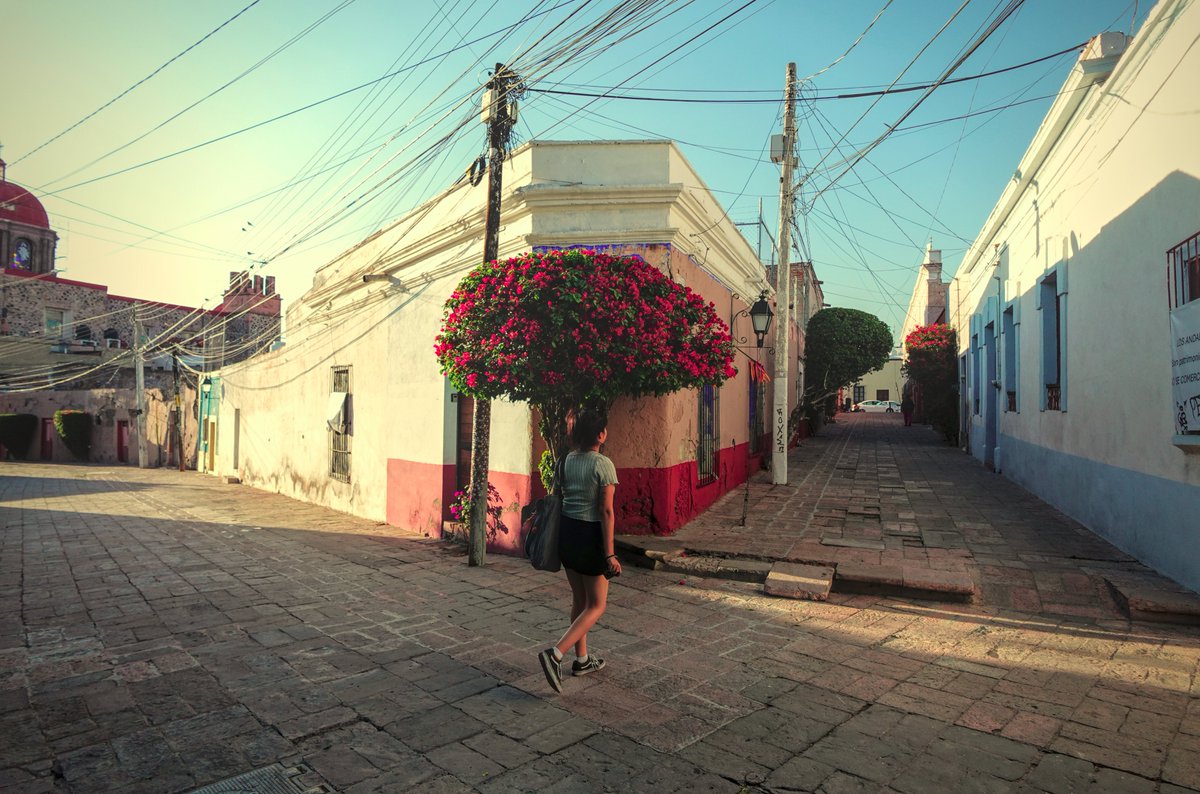 TheCarki tweet media