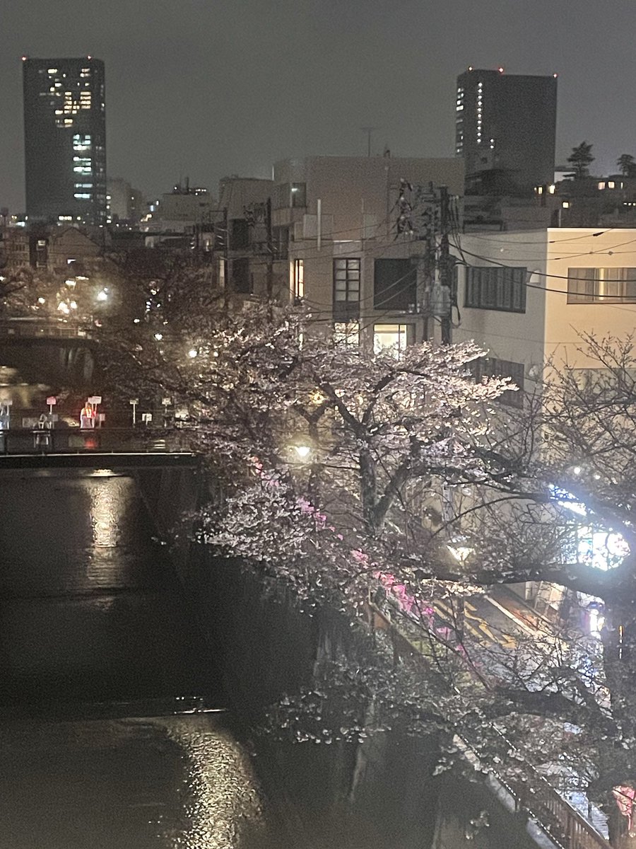 丸林哲也 | 桜十字グループCHRO tweet media