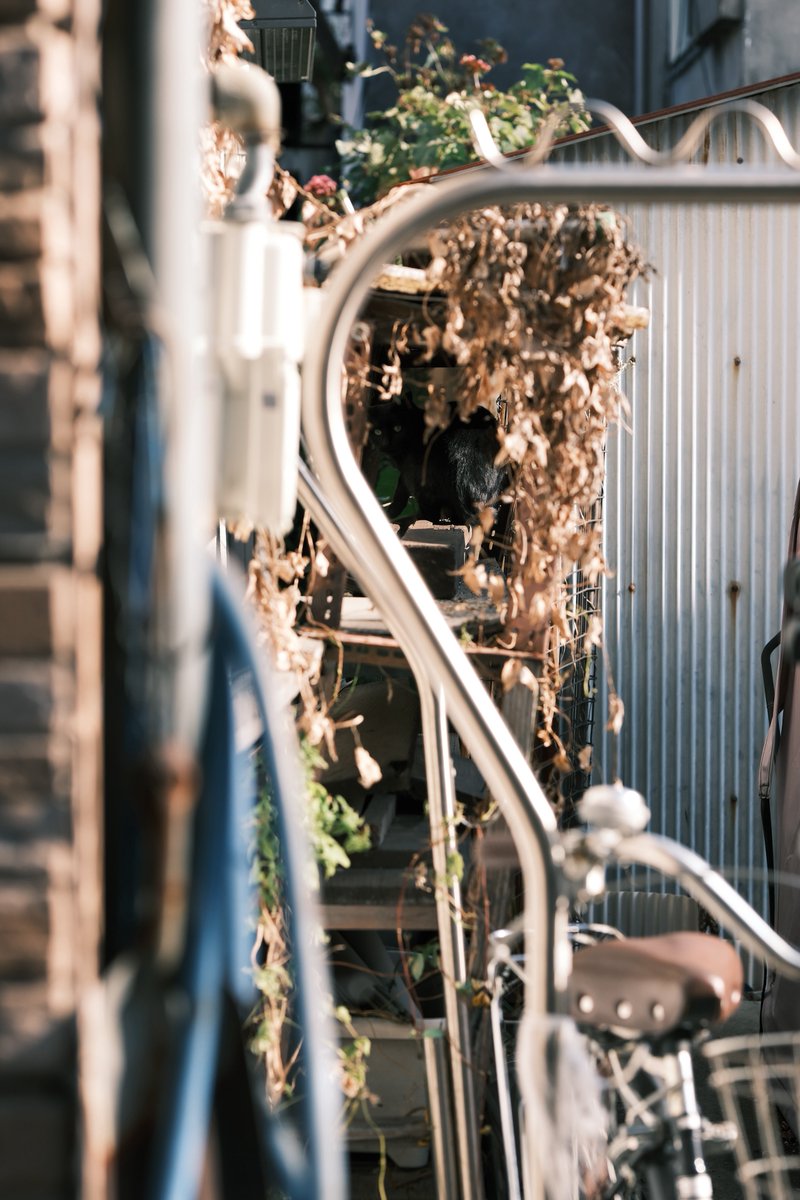 小林哲朗 写真家 tweet media