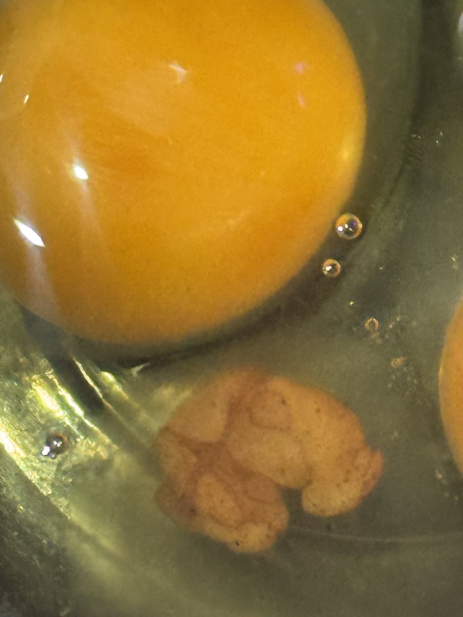 Bensaid 🇲🇦 tweet media