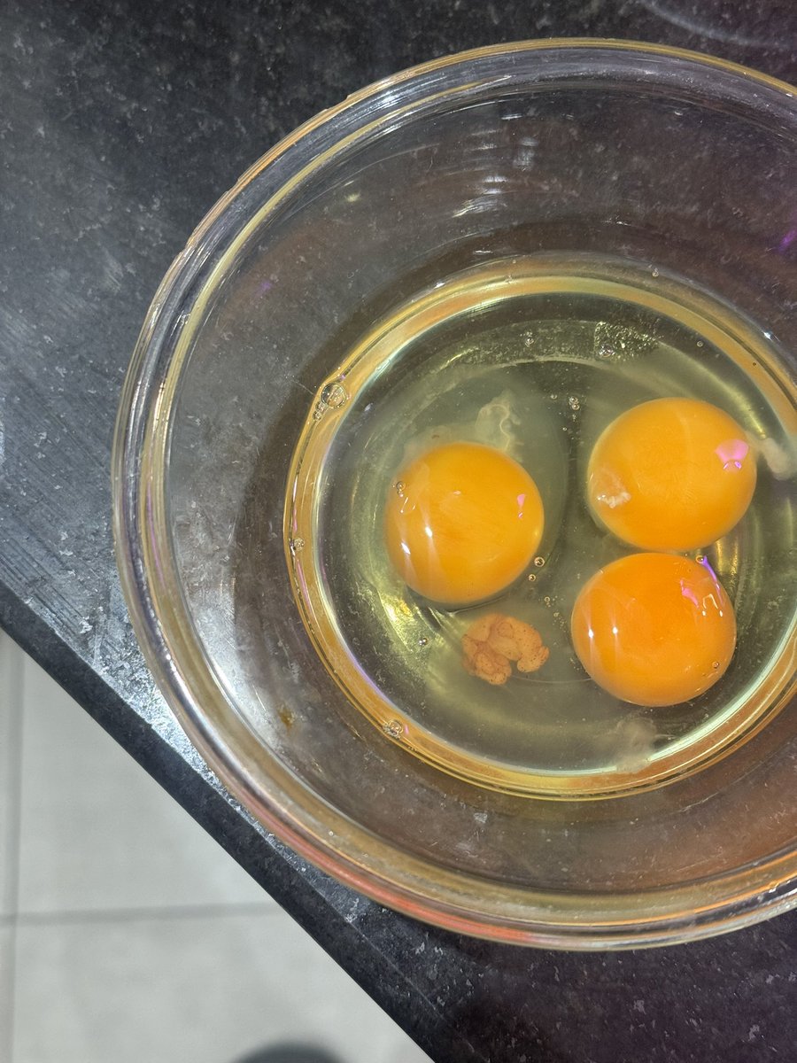 Bensaid 🇲🇦 tweet media