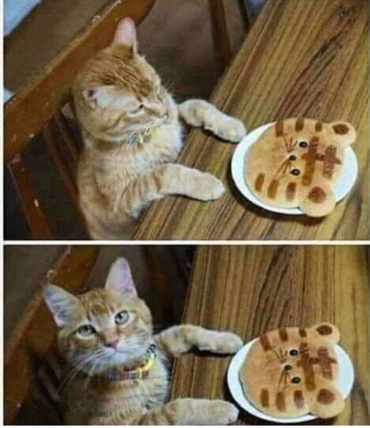 Irish on Tour tweet media