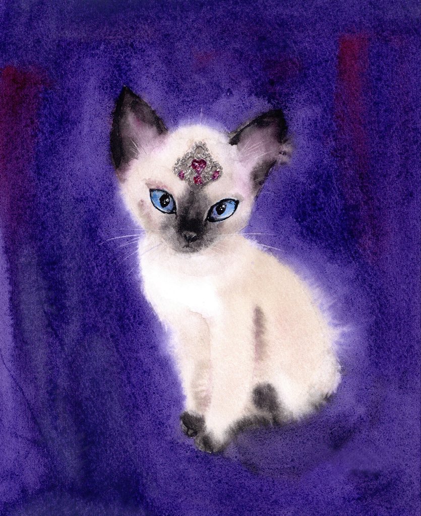 村上ゆたか tweet media