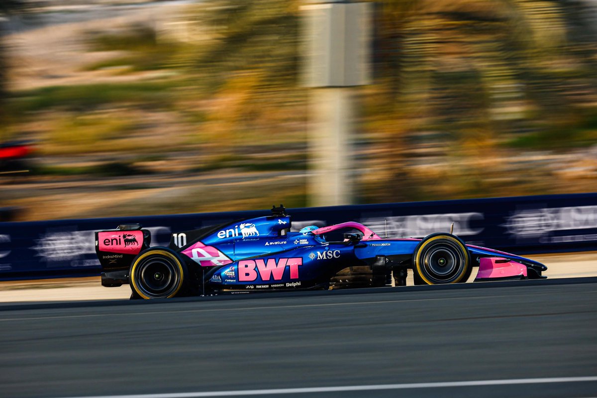 Allpain Fan Club tweet media