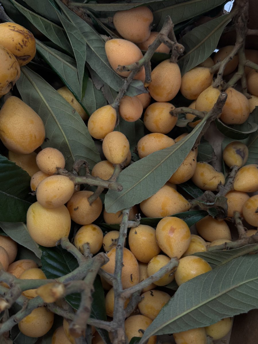 지은 🇵🇸 tweet media