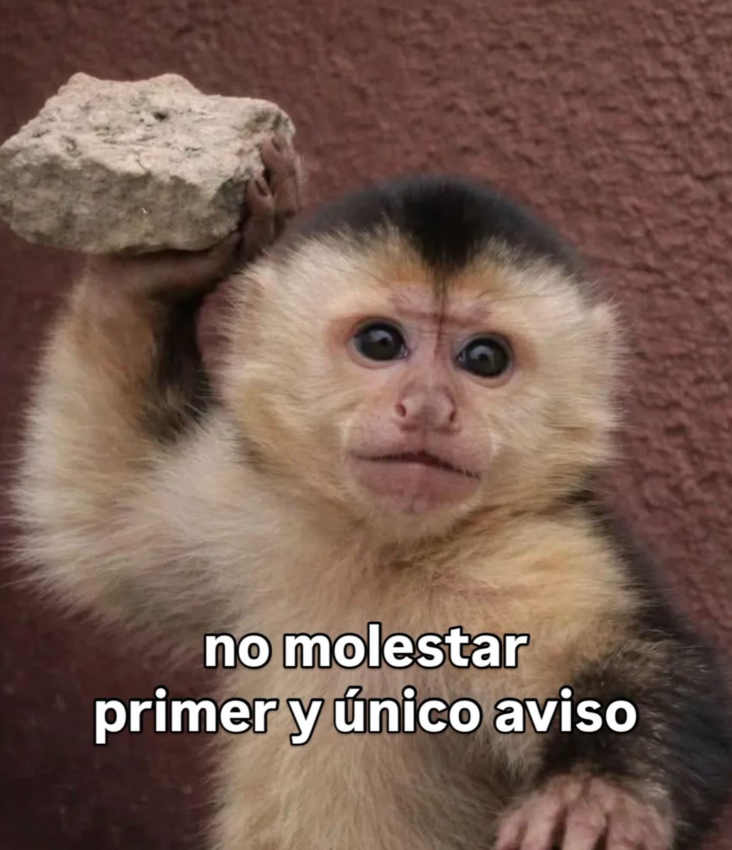 Mundo de Bigotes tweet media