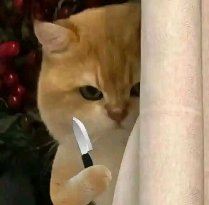 diyetisyennur tweet media