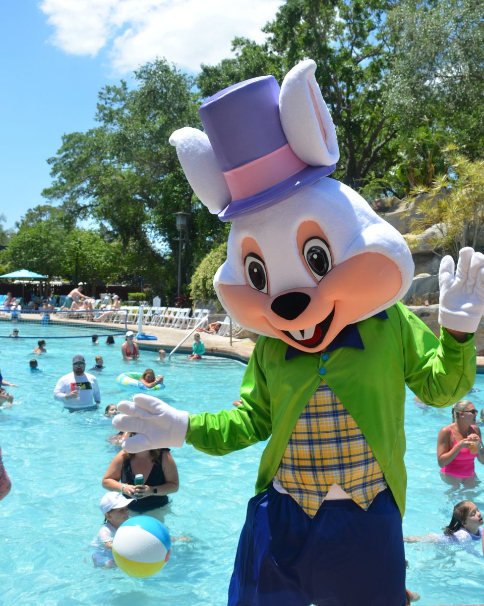 Innisbrook Resort tweet media