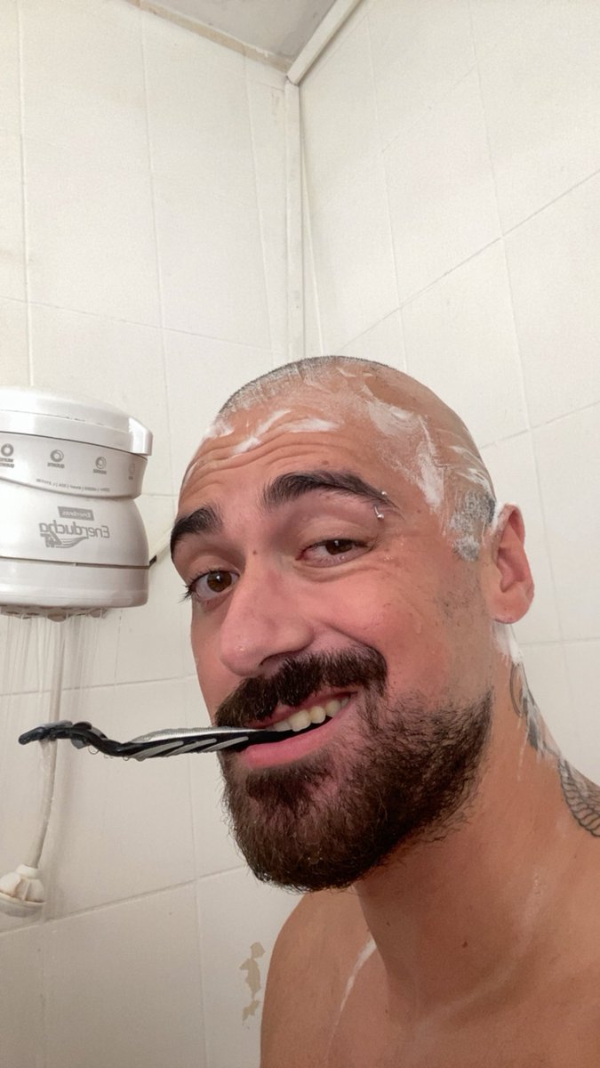 dinossauro de brinquedo tweet media