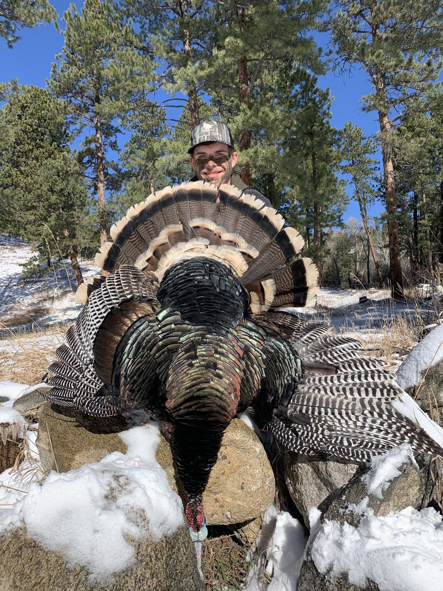 Mike Smith tweet media