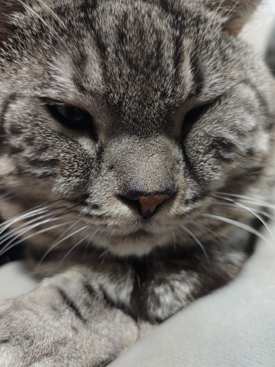 るる。 tweet media