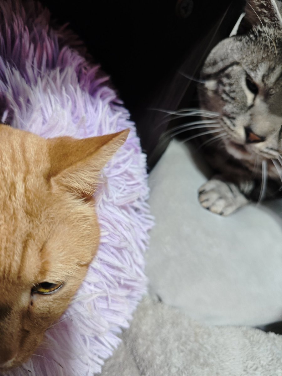 るる。 tweet media