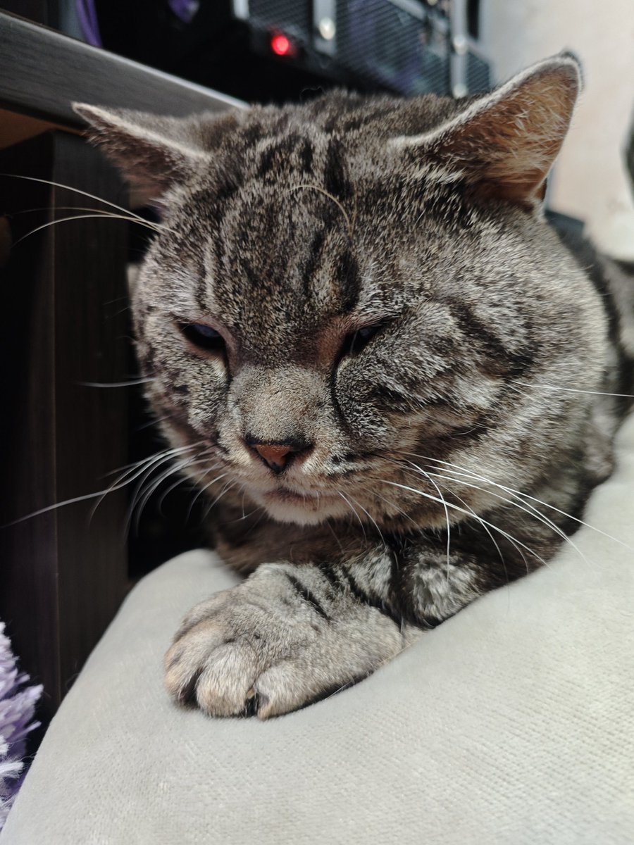 るる。 tweet media