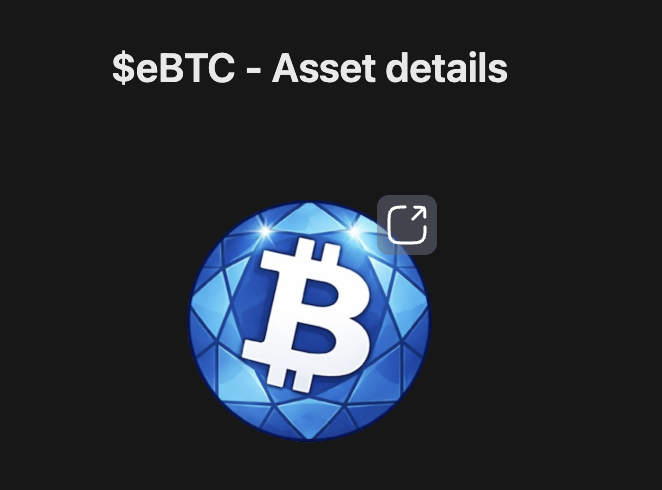 Dragon of Coin tweet media