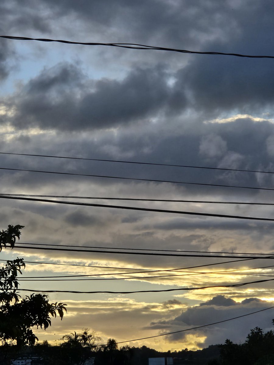 Yayi Soto📖 tweet media