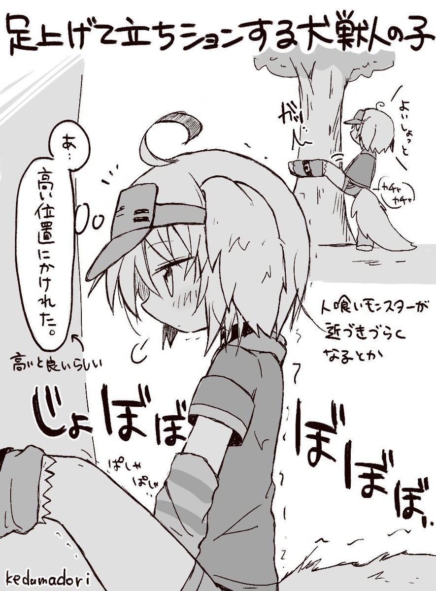 けだまどり◌˳˚🕊️ tweet media