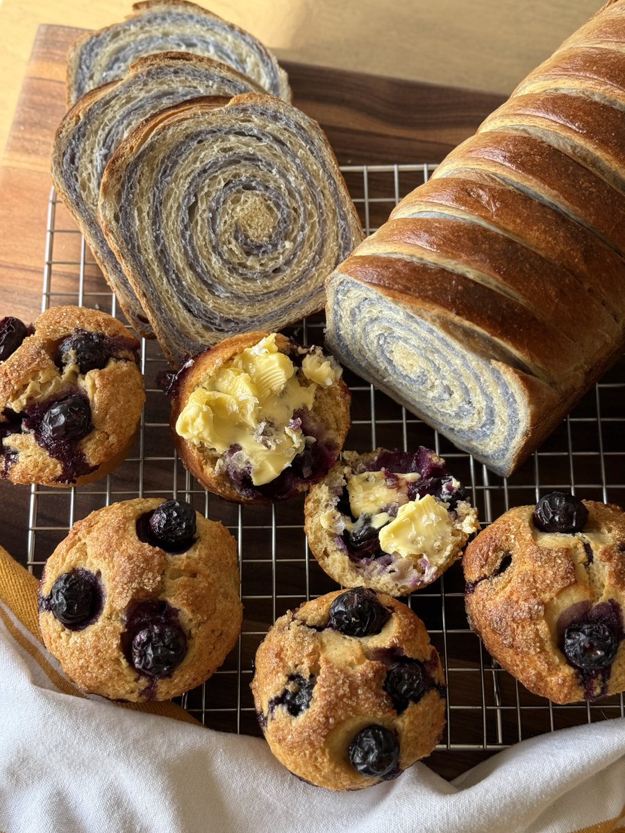 just a lil’ guy tweet media