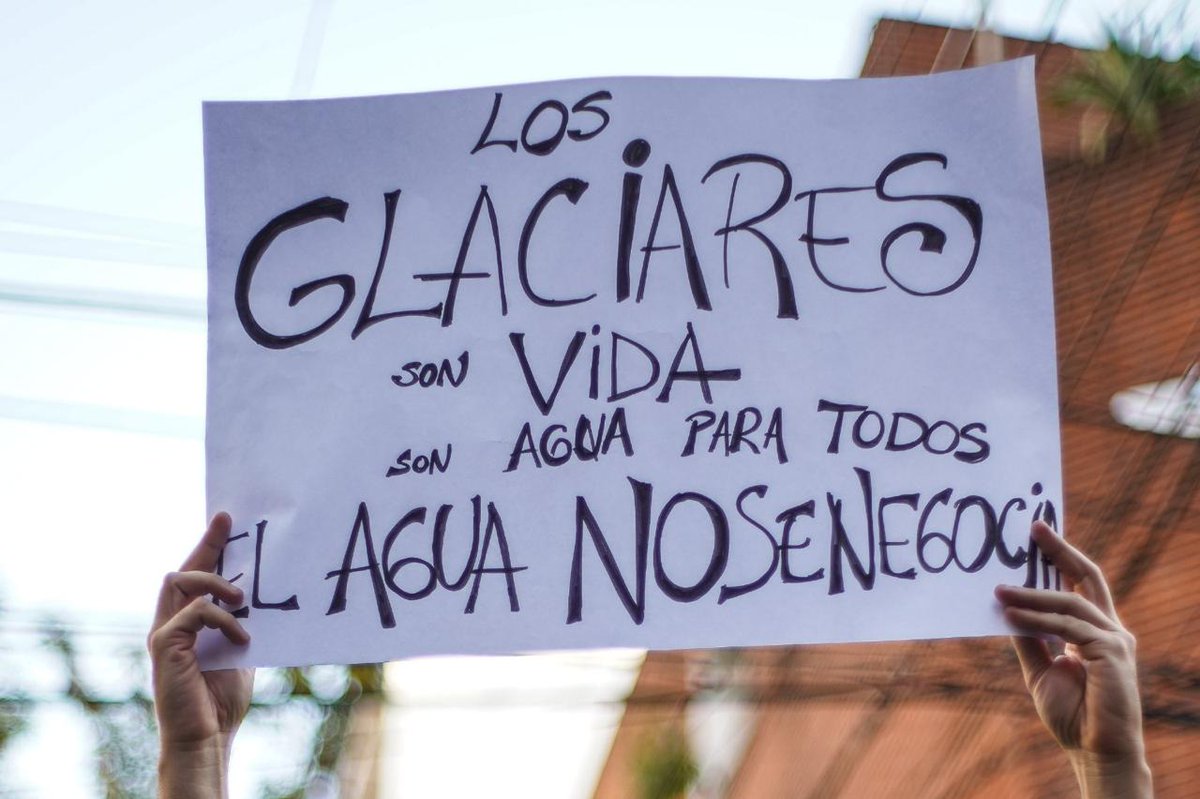 Paula Penacca tweet media