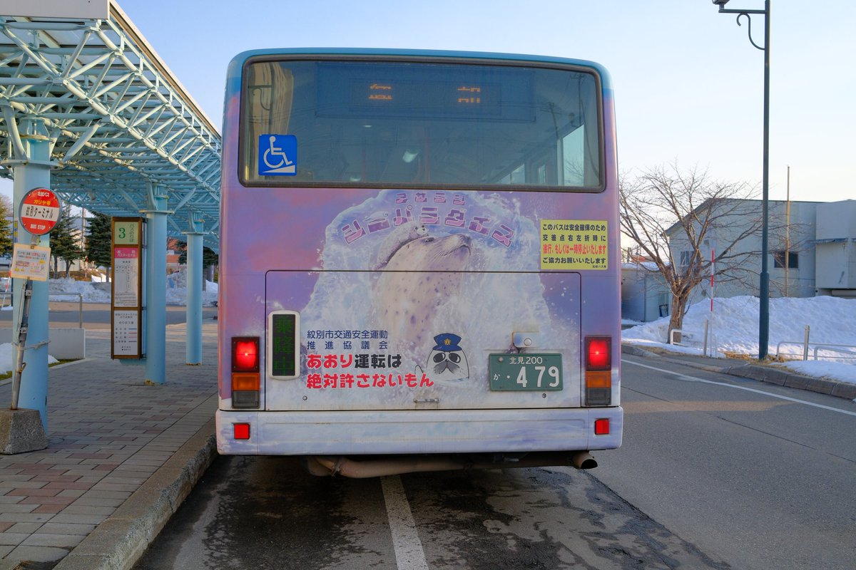 🦭ウィスタリア🦭 tweet media