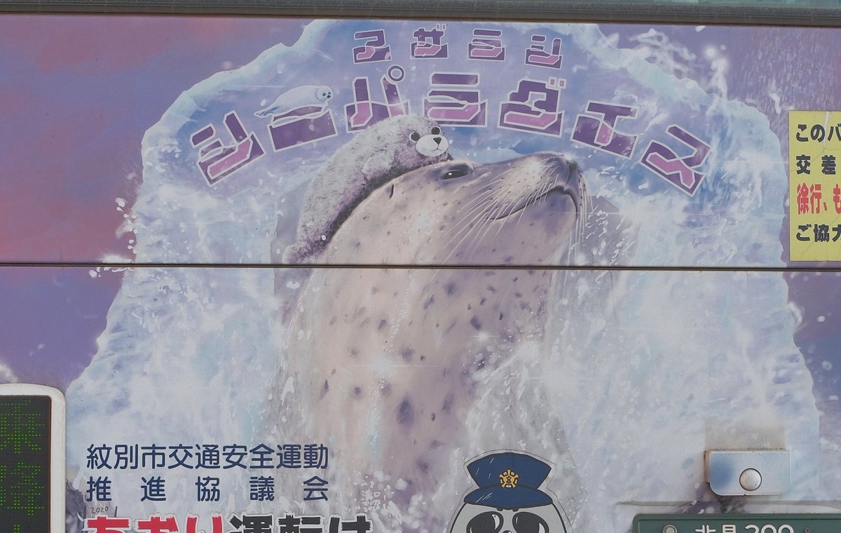 🦭ウィスタリア🦭 tweet media