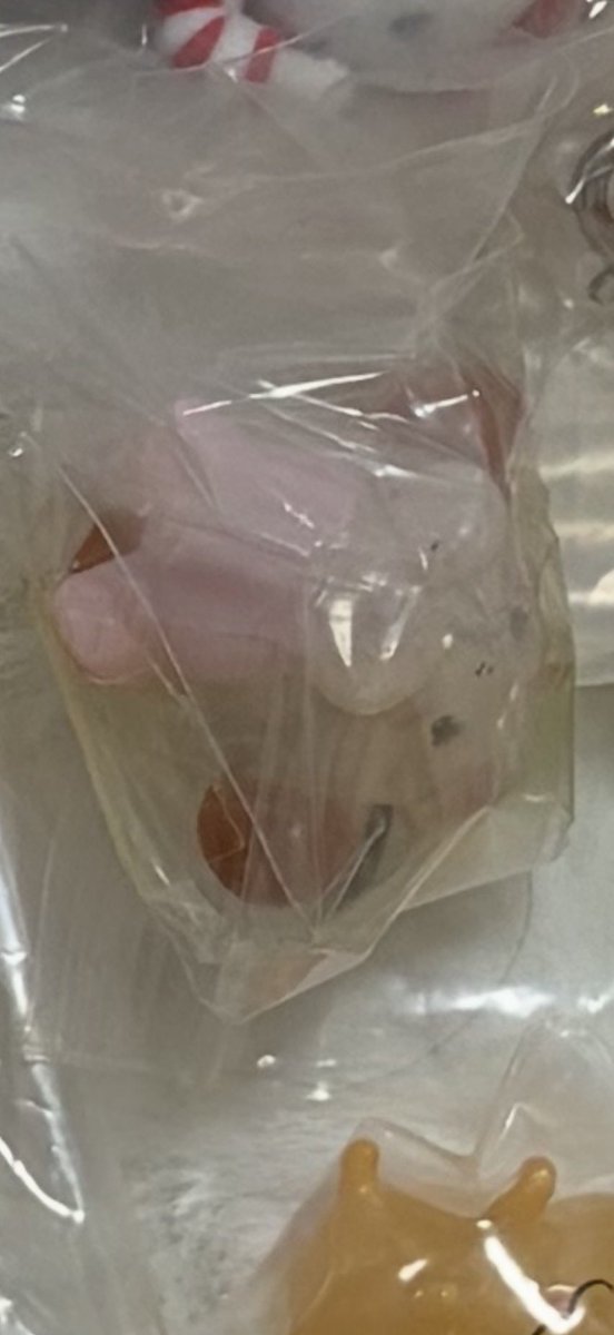 交換垢 tweet media