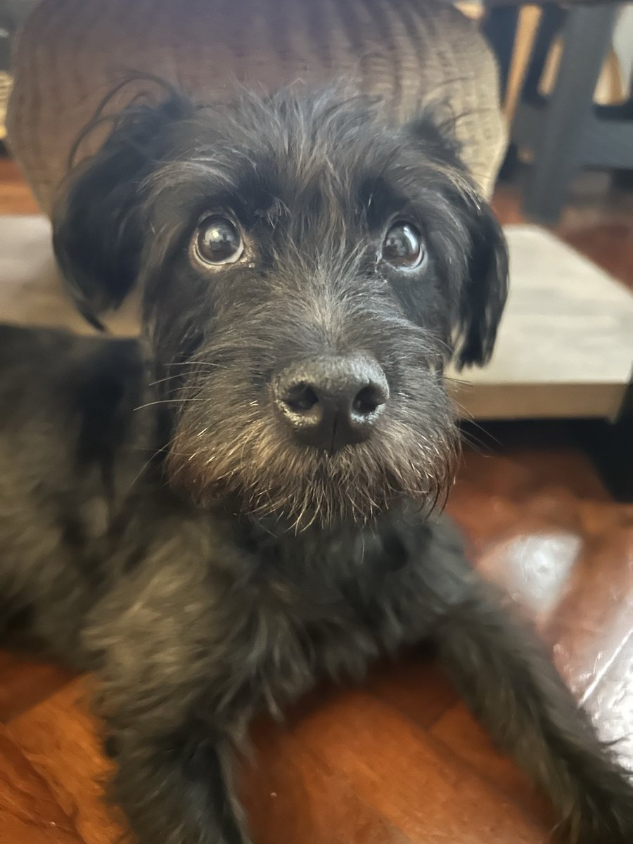 finifree's tweet photo. Bueno volví a esta red y volví siendo mamá https://t.co/sGUyH08BZt