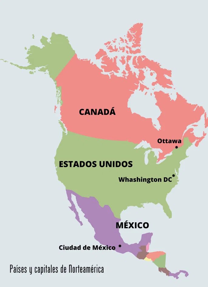 El Pitudo tweet media