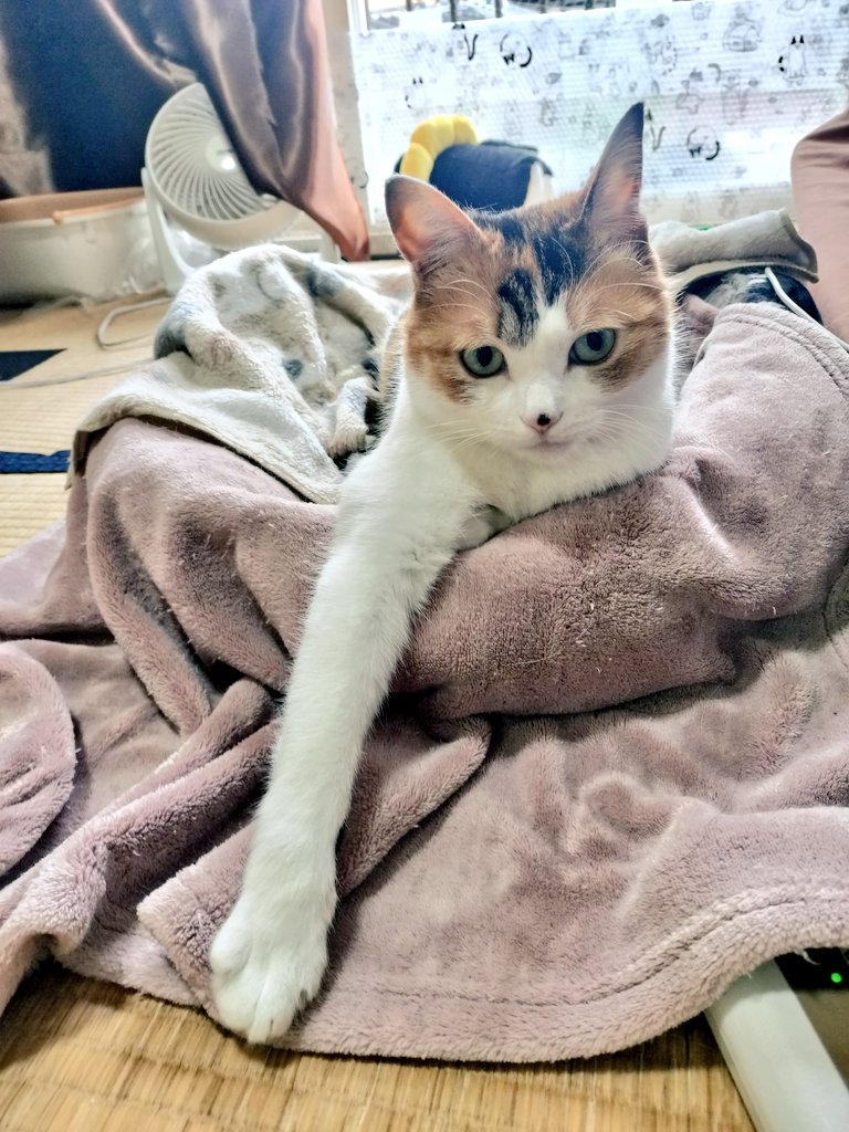 らら暮らし tweet media