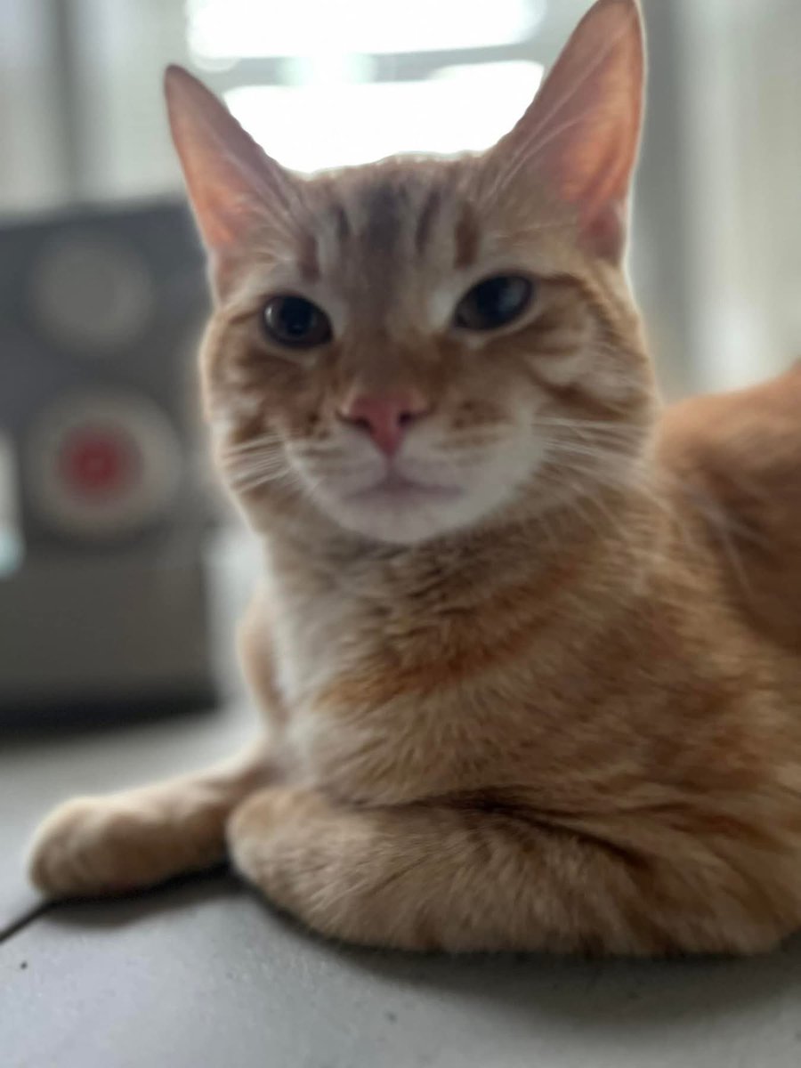 MichelleNW tweet media