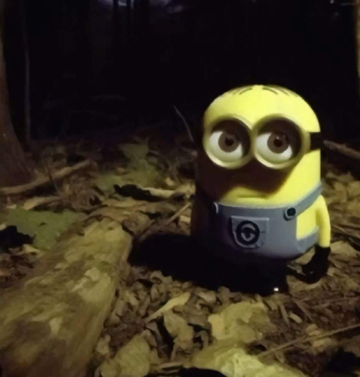 Lily | ENHA IS 7!!!! tweet media