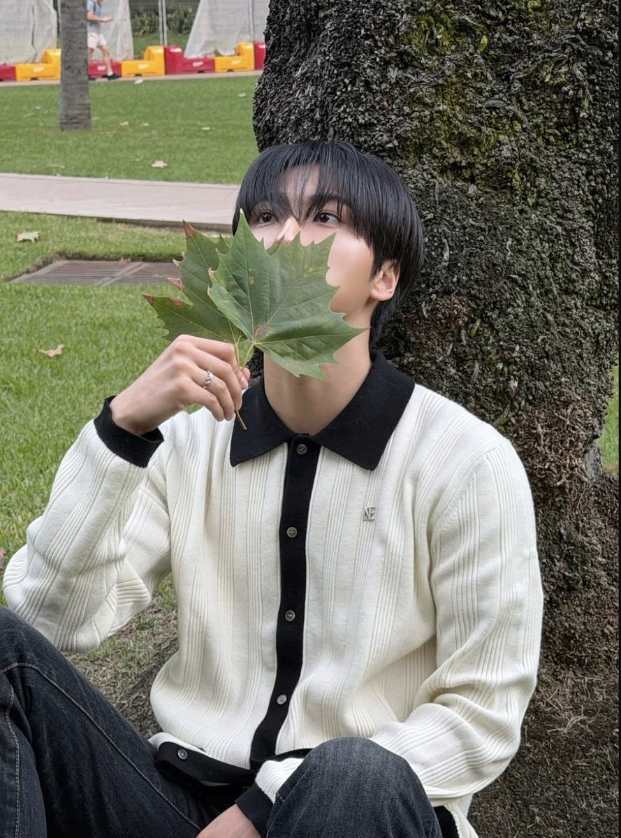 Star✨️ tweet media