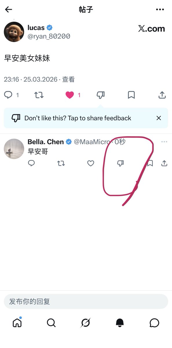 Bella. Chen tweet media