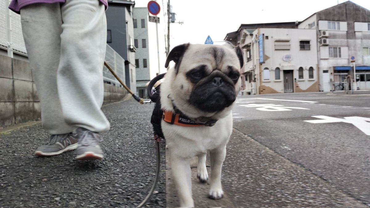 いんでぃ tweet media