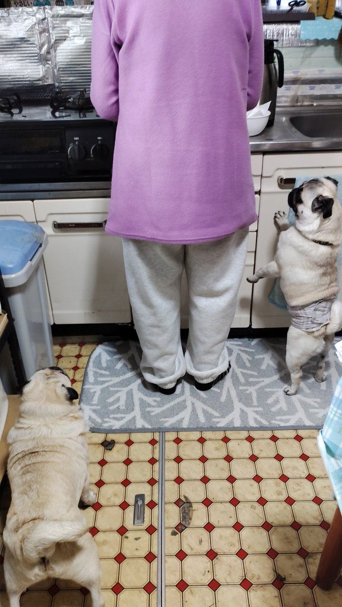 いんでぃ tweet media