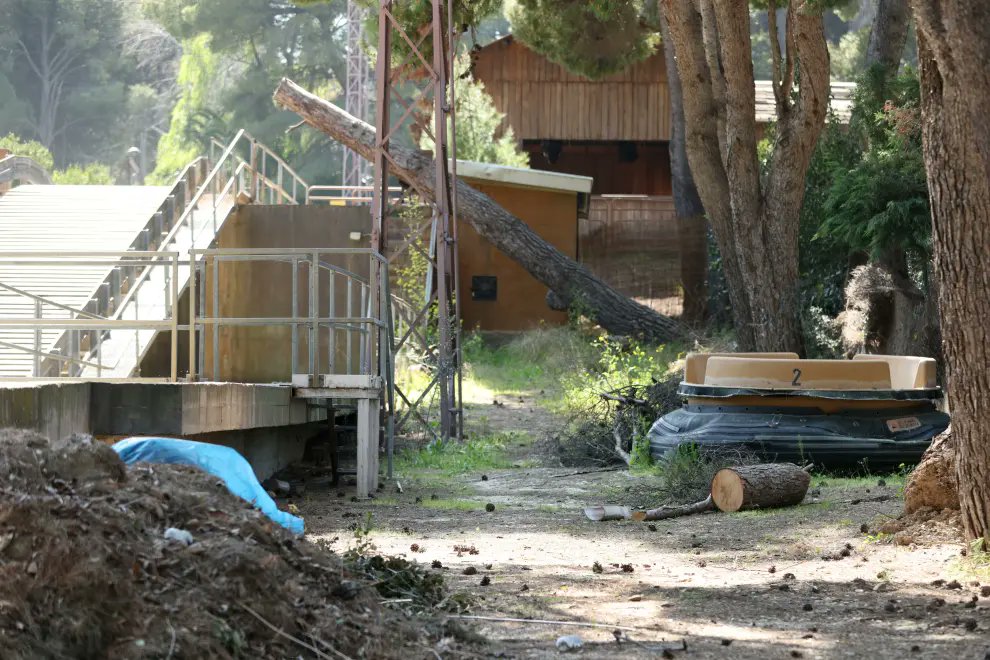 Freak Planet tweet media