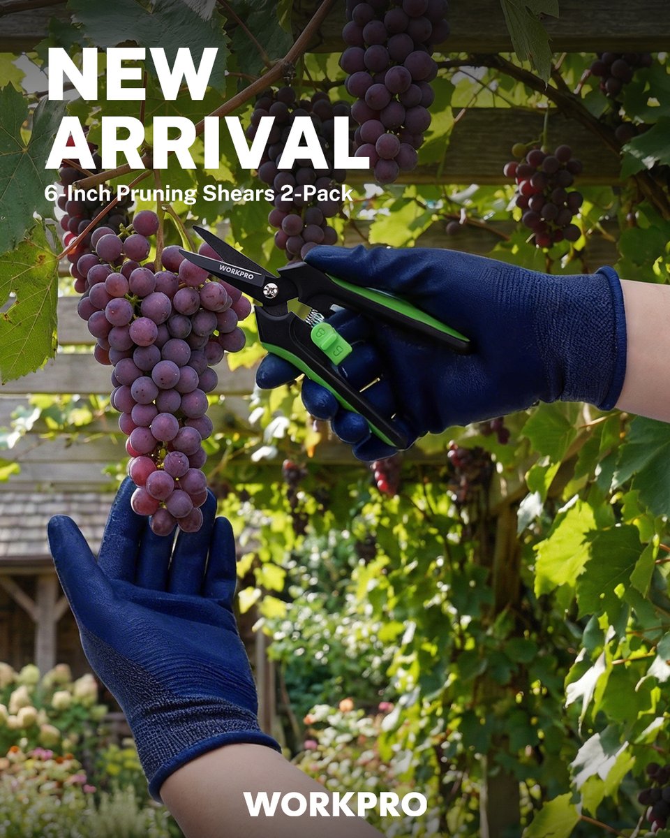 WORKPRO® Tools tweet media